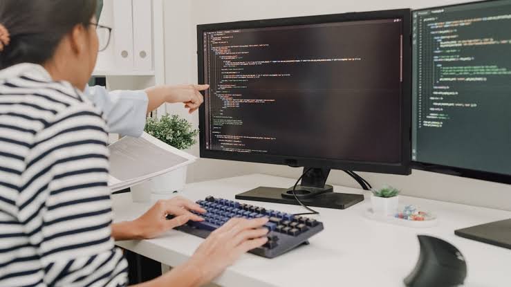Software Developer